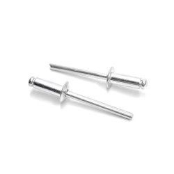 RIVET POP ALL 3.9/4*12 IMP